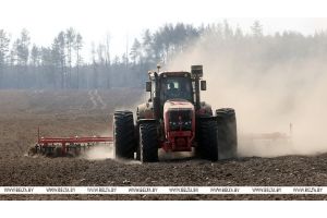 В Беларуси засеяно свыше 20% площадей яровых культур