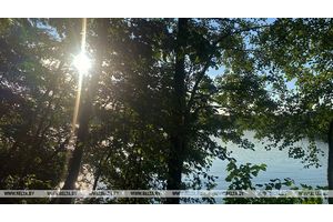 Сегодня в Беларуси грозы и до +24°С