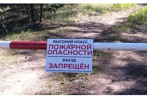Лесная охрана Минской области перешла на усиленный режим работы