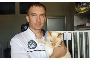 «Ветеринар должен быть педантом!»