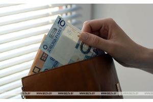 Ресурсы домашнего хозяйства белоруса в IV квартале 2024 года составили 2545,8 рубля в месяц