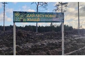 Узнали, где сегодня проходит республиканская добровольная акция «Дай лесу новае жыццё!» и кто в ней участвует
