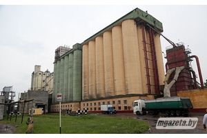 Збожжавыя ручаі камбіната хлебапрадуктаў