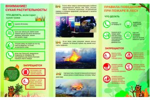 Чтобы делать, чтобы не допустить пожара при сжигании мусора