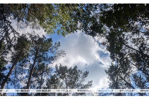 Грозы и дожди прогнозируют в Беларуси 5 августа