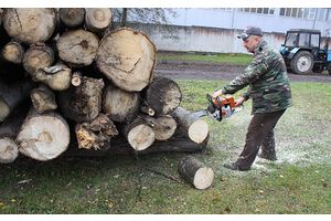 Дрова – это серьезно