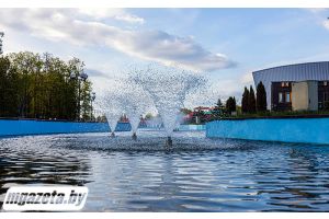 До +16°С, местами порывистый ветер ожидаются в Беларуси