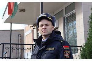 Молодечненцам напомнили о наказании за вырубленную незаконно ель