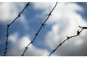 Подростки: дорога привела в колонию