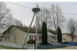 И кружится аист над сельисполкомом