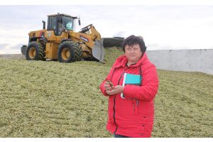 На повестке дня – заготовка силоса