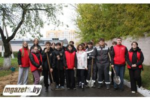 Молодежь высадила саженцы возле Молодечненского социального пансионата