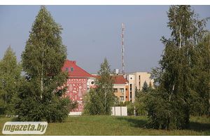 Чисть готовится к «Дожинкам»