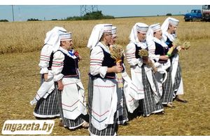 В поле недалеко от деревни Бертошки (СУП «Хожовоагро-2009») сегодня прошел обряд «Зажинки»