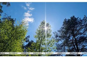 До +36°С будет сегодня в Беларуси