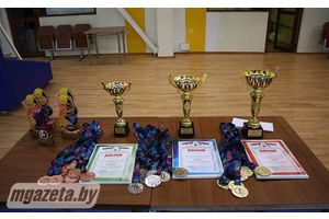 В Молодечно наградили победителей спартакиады по волейболу