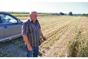 Белорусские аграрии делятся опытом