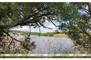 До +35°С и грозы с дождями прогнозируются сегодня в Беларуси