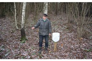 Склоны городища возле деревни Новоселки 2 изборождены окопами