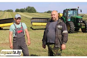 В ОАО «Городилово» начали уборку зерновых культур, параллельно не снижая темпов кормозаготовки