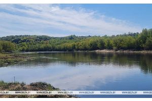 Сильные ливни, грозы и до +36°С ожидается сегодня в Беларуси