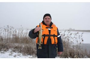 По щучьему велению…