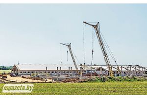 Корманарыхтоўка, ільготы для моладзі, абноўленая сталовая