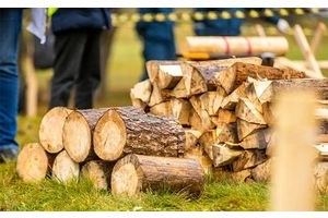 Чемпионат по колке дров соберет более 200 участников и свыше 100 судей