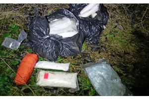 В Молодечно нашли сумку с 28 кг опасного психотропа — участники преступной схемы задержаны
