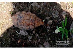 В Ковальцах дачник нашел гранату
