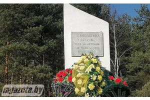 В деревне Саковщина прошел митинг-реквием, приуроченный к 82-летию  Хатынской трагедии