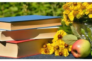 «Лето с хорошей книгой»