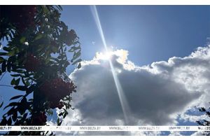 Переменная облачность и до +26°С будет сегодня в Беларуси