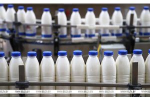 Беларусь в 2024 году экспортировала 6 млн тонн молока и молочных продуктов в 69 стран