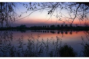 Жители Минщины могут помочь с уборкой водоемов. Что для этого нужно?