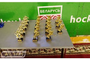 В Молодечно на ледовой арене сегодня состоялась торжественная линейка ДЮШС 