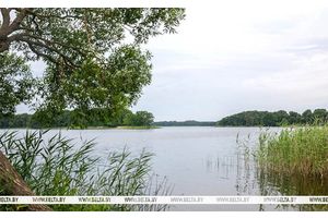До +30°С и дожди с грозами прогнозируются сегодня в Беларуси