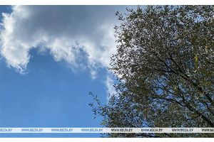 До +33°С ожидается сегодня в Беларуси