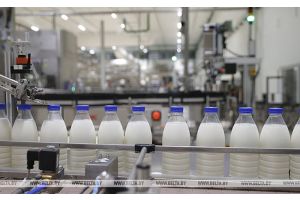 Беларусь заинтересована в расширении поставок молочной продукции в Индонезию