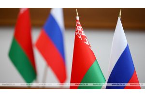 Гражданам Беларуси планируется предоставить право голосовать на выборах в России