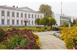 Помогать, но не порождать иждивенчество. Вопросы системы соцзащиты подняли в Минском облисполкоме