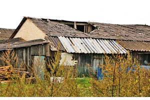 Старые сараи во дворах многоэтажек