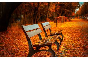 Госавтоинспекция проводит акцию «Безопасные каникулы – осень 2025»