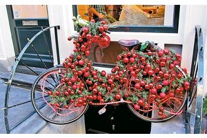 Чем запомнился молодечненским путешественникам рождественский Амстердам?