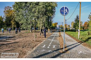В Комсомольском парке кипела работа