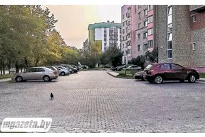 Спасибо за парковку!