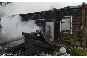В деревне Шалыги в огне погиб человек