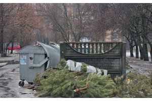 Новогодние ели утилизируются