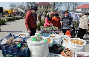 17 апреля в Молодечно пройдет региональная ярмарка