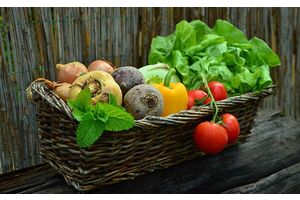 В Минской области стабфонд плодоовощной продукции сформируют до 15 ноября
